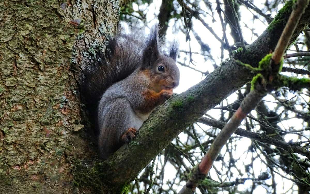 ����� � ��������. ����� �������� �������� �� PhotoGeek.ru #����� #�������� ���