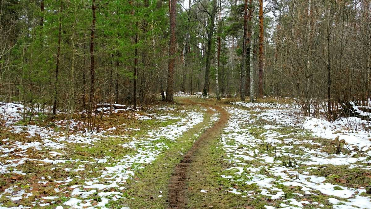 ������� � �������. ����� �������� �������� �� PhotoGeek.ru #������ ��� �������