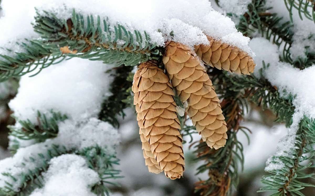   .     PhotoGeek.ru # #  