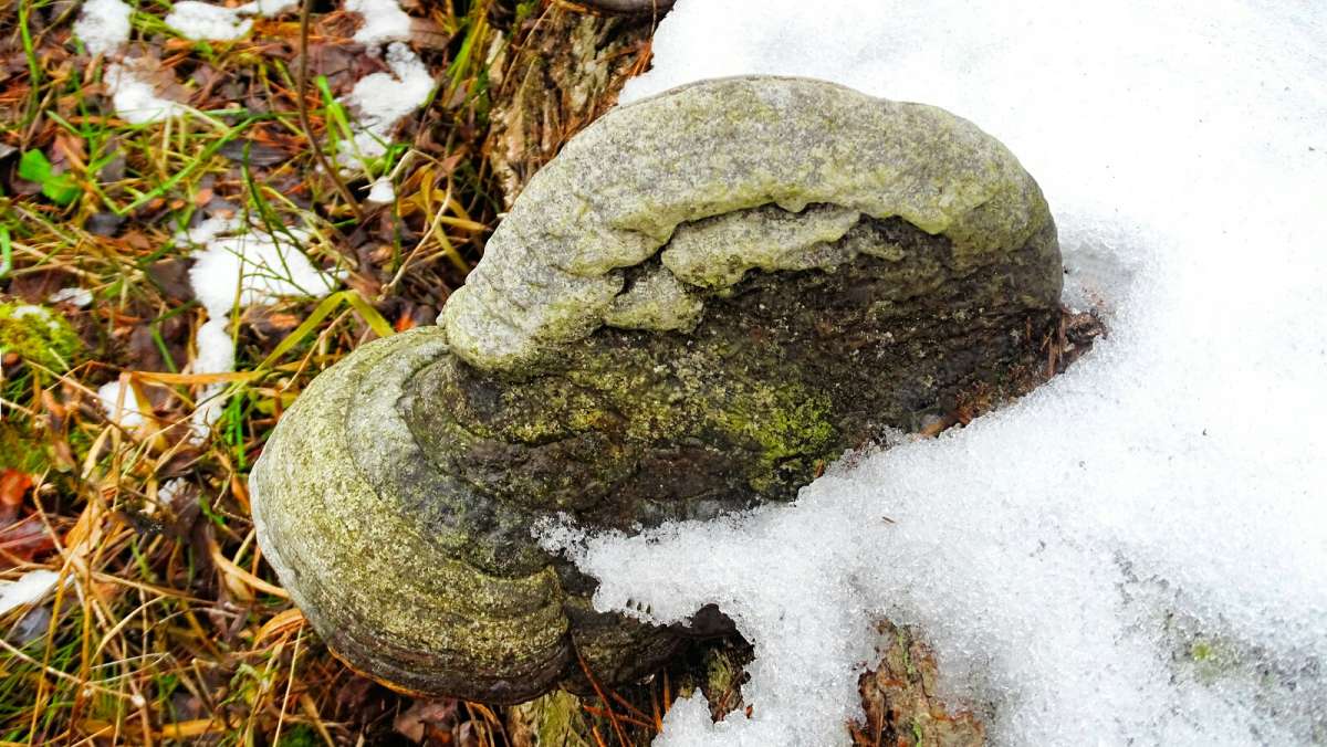 ��������� ���� ������� �� �����. ����� �������� �������� �� PhotoGeek.ru #����� #������ ��� �������