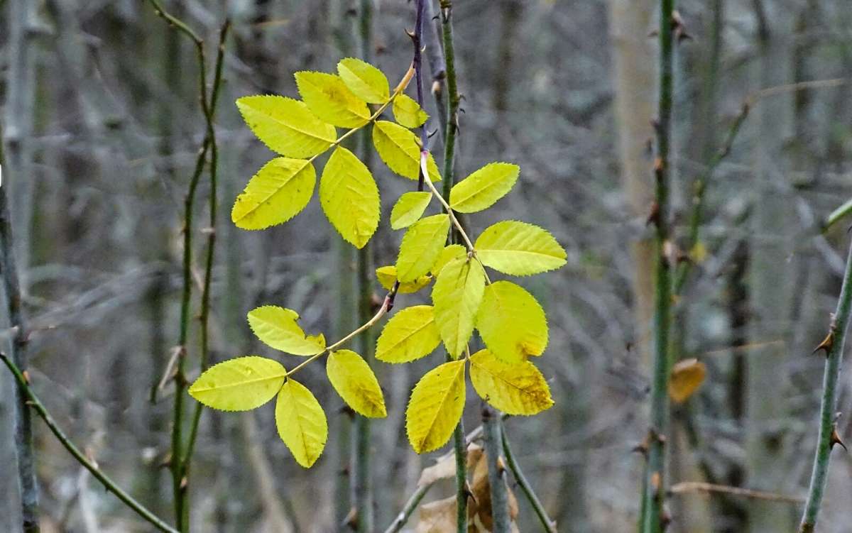 �������� ������� ����� �������� �������� �� PhotoGeek.ru #����� #������ ��� �������