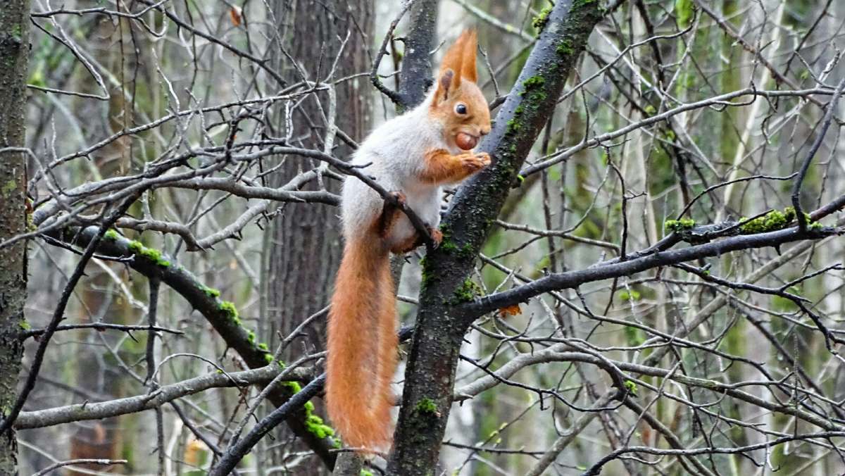 ����� � ������. ����� �������� �������� �� PhotoGeek.ru #����� #�������� ���