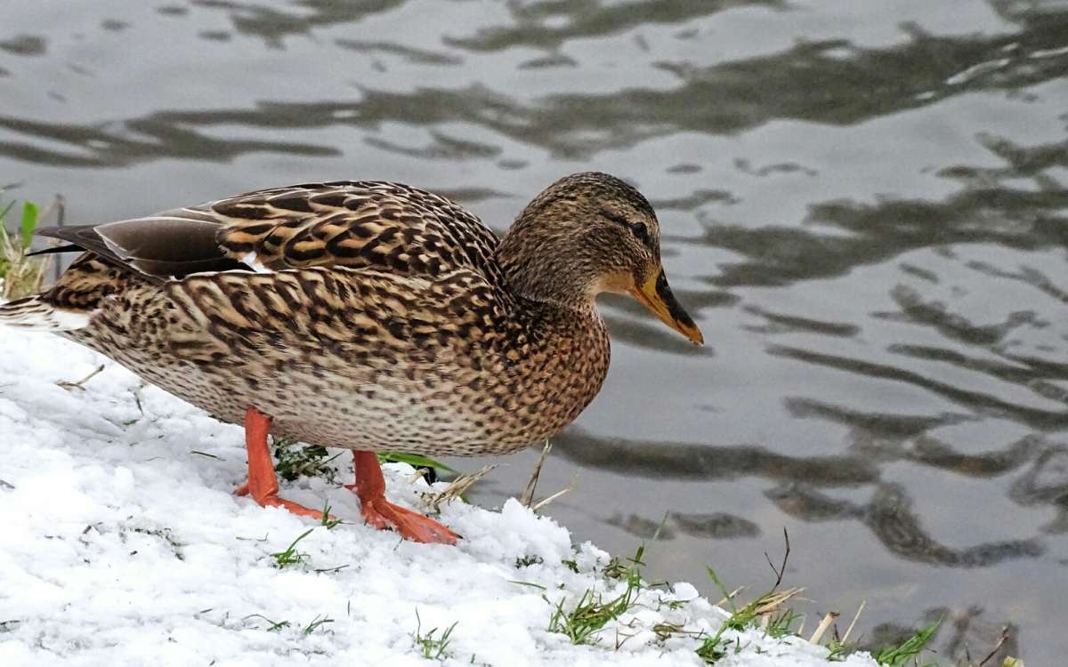 � ����� ���� ������ � ���� �������. ����� �������� �������� �� PhotoGeek.ru #����� #�������� ���