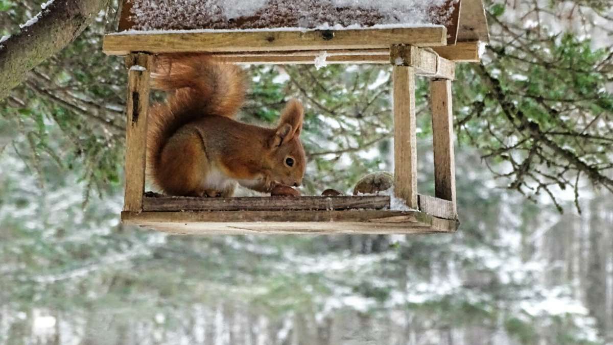 ����� � ������� ��������. ����� �������� �������� �� PhotoGeek.ru #����� #�������� ���