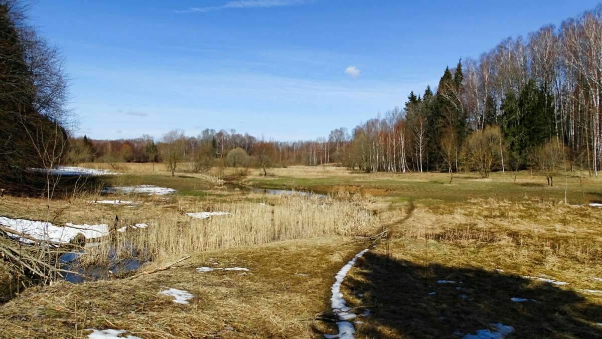 ������ ���������� ����. ����� �������� �������� �� PhotoGeek.ru #������ ��� �������