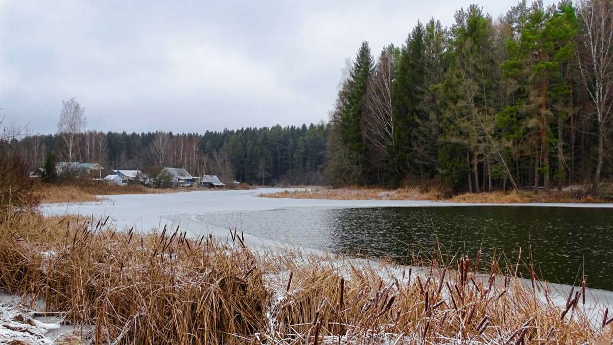 ظ� ����� ���� ����. ����� �������� �������� �� PhotoGeek.ru #������ ��� �������