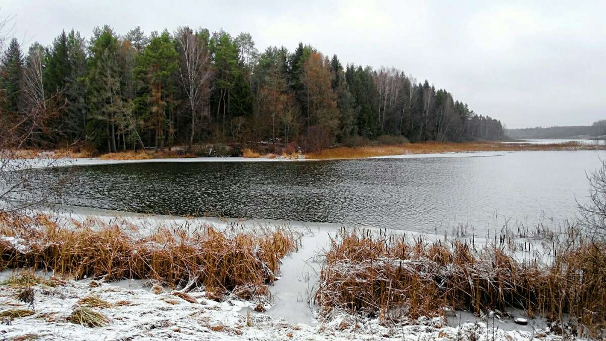 ظ� ����� ���� ����. ����� �������� �������� �� PhotoGeek.ru #������ ��� �������