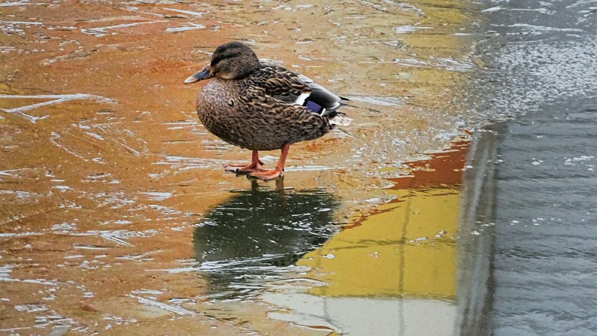 ������ �� ������ ���� ������. ����� �������� �������� �� PhotoGeek.ru #����� #�������� ���