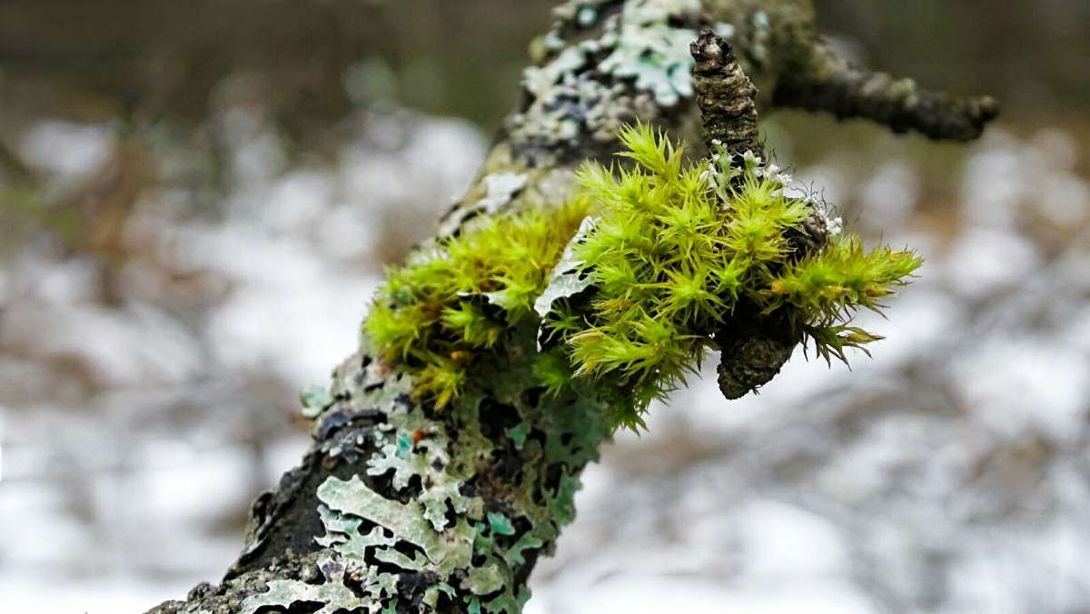 �������� ��� �� ������ �����. ����� �������� �������� �� PhotoGeek.ru #����� #������ ��� �������