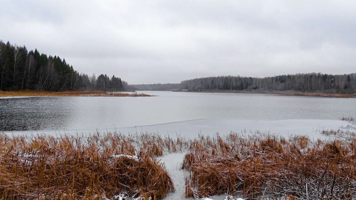 ���� � �������. ����� �������� �������� �� PhotoGeek.ru #������ ��� �������