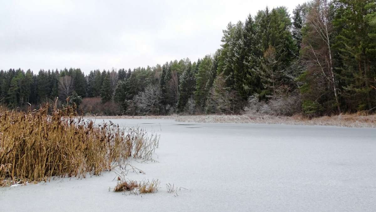 ����� � ������ ����� � ������� �����. ����� �������� �������� �� PhotoGeek.ru #������ ��� �������