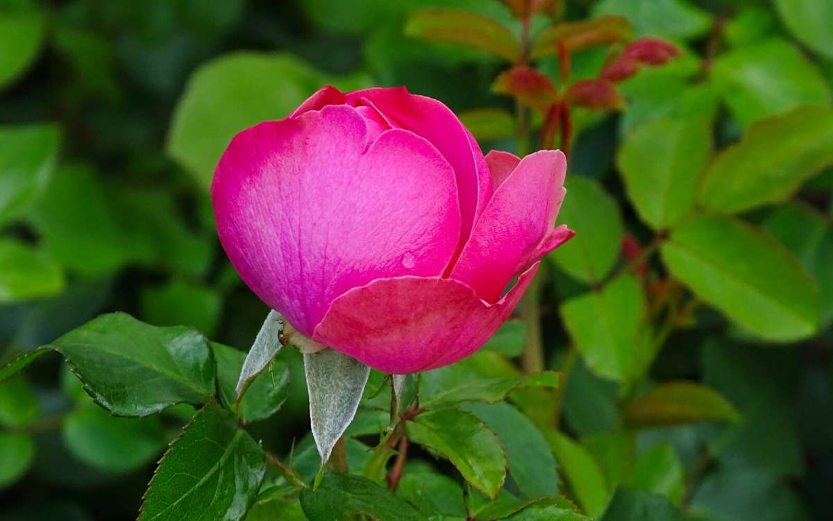 � ������ � �������. ����� �������� �������� �� PhotoGeek.ru #����� #�����