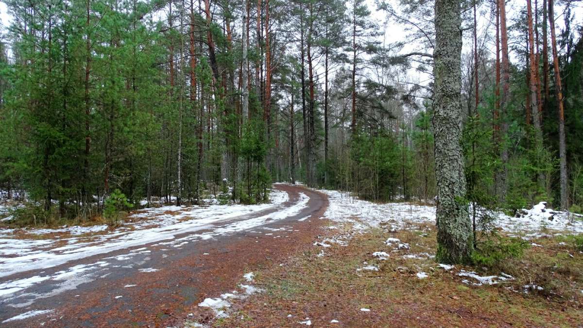 � ��������� ���� �����. ����� �������� �������� �� PhotoGeek.ru #������ ��� �������