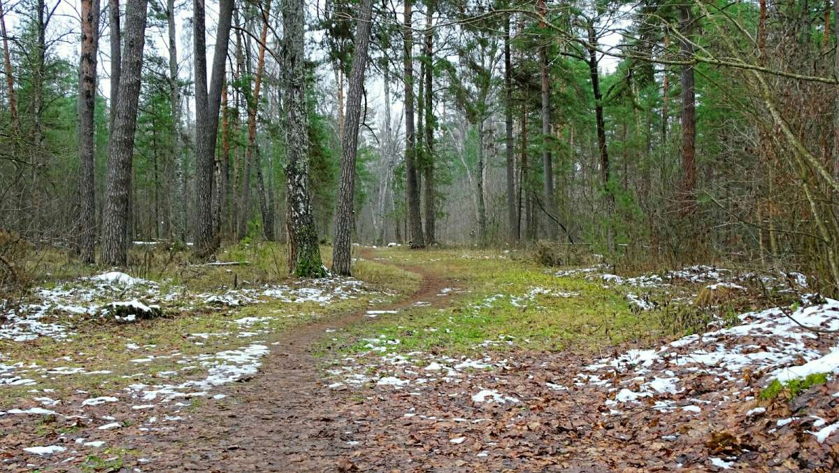 � ������ ���� ����. ����� �������� �������� �� PhotoGeek.ru #������ ��� �������