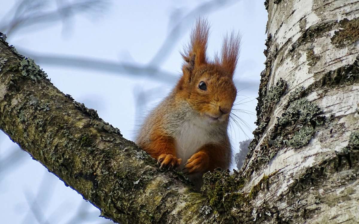 "������" �� "��������". ����� �������� �������� �� PhotoGeek.ru #����� #�������� ���