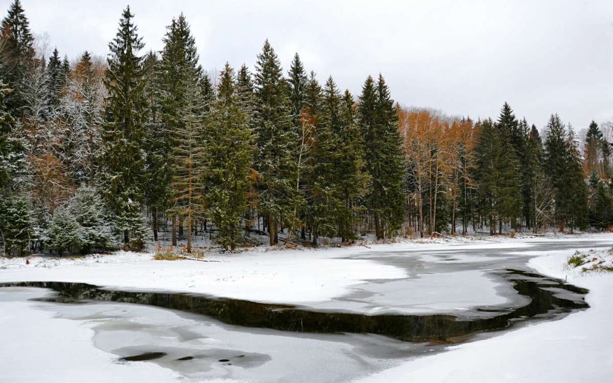 Ҹ���� ������ ����. ����� �������� �������� �� PhotoGeek.ru #������ ��� �������