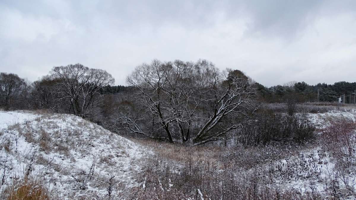 ������ ������� ����������. ����� �������� �������� �� PhotoGeek.ru #������ ��� �������