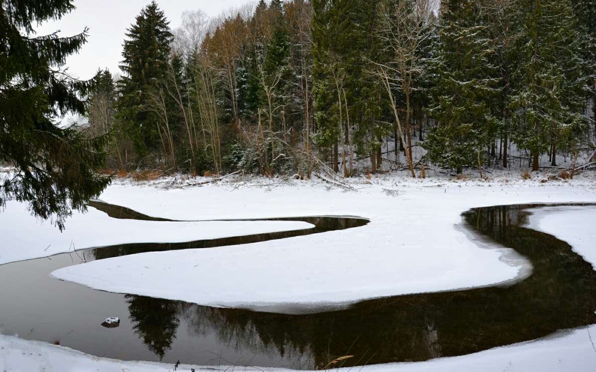 ����������� ����� - ���� ����� �������� �������� �� PhotoGeek.ru #������ ��� �������