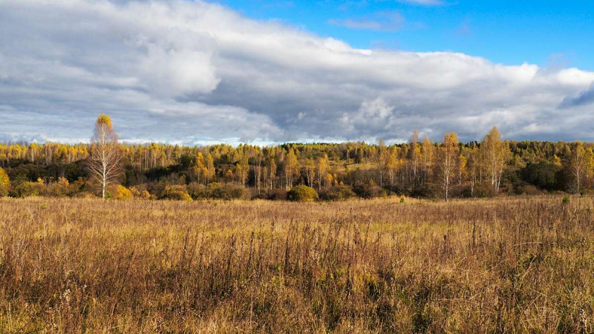 ��� ���� �������, ��� ���� �����. ����� �������� �������� �� PhotoGeek.ru #������ ��� �������