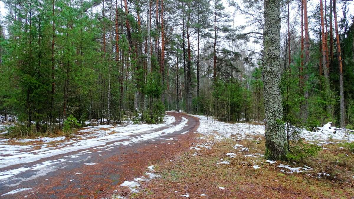 ����� ��� ������ ���� ����. ����� �������� �������� �� PhotoGeek.ru #������ ��� �������