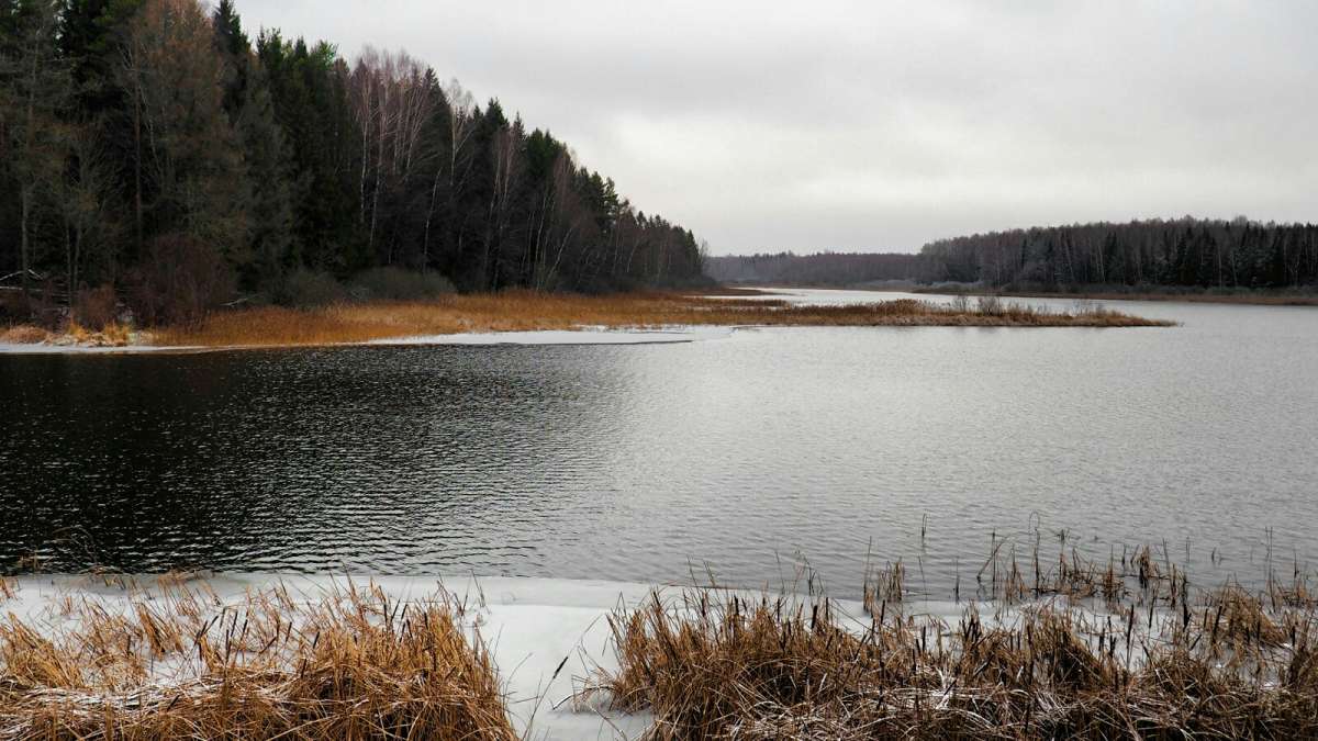 � ������� ���� �� ���� ����� ��� ������� ��. ����� �������� �������� �� PhotoGeek.ru #������ ��� �������