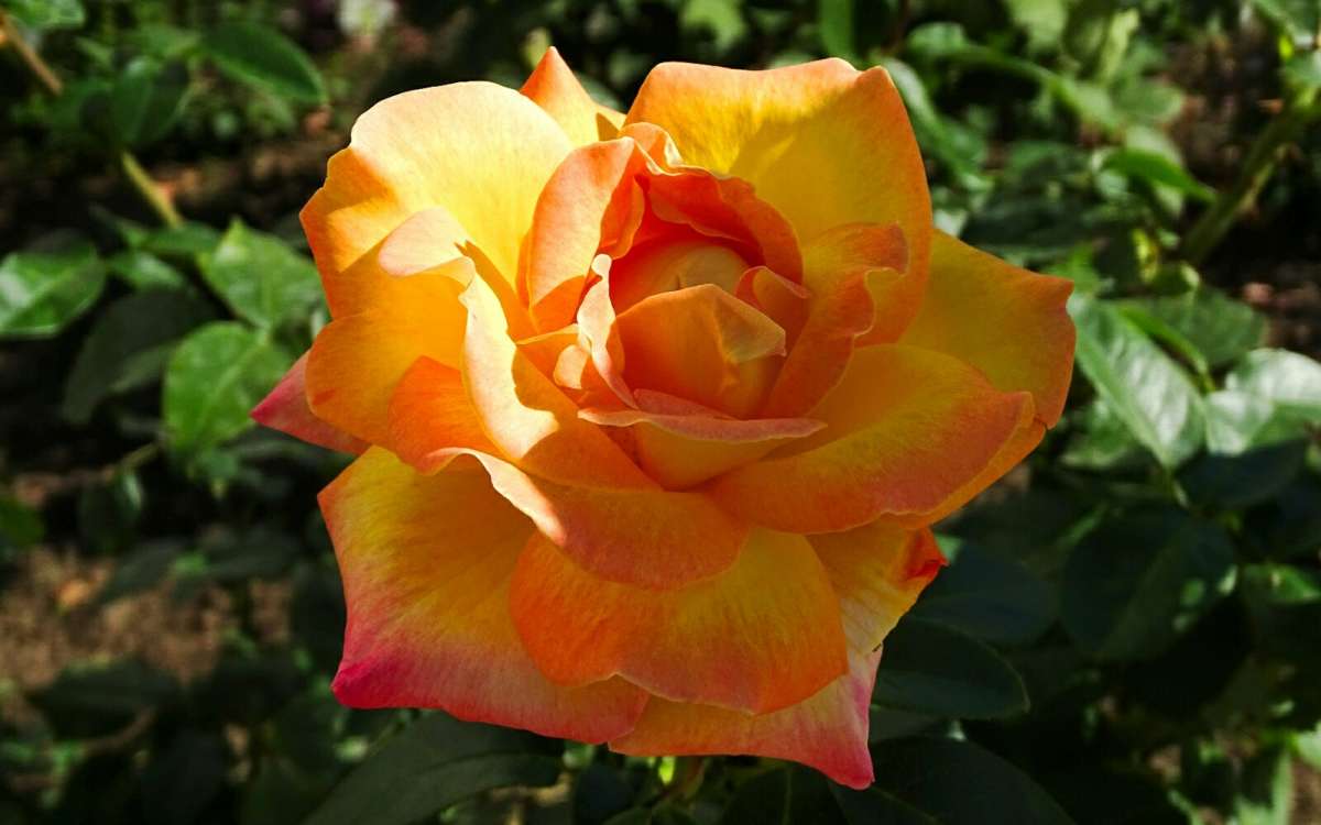 ����� � ������ ����� �������� �������� �� PhotoGeek.ru #����� #�����