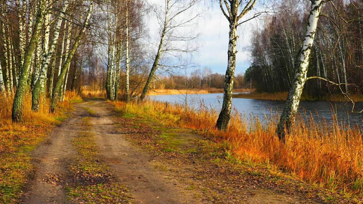 ��� ���� �������, ��� ���� �����. ����� �������� �������� �� PhotoGeek.ru #������ ��� �������