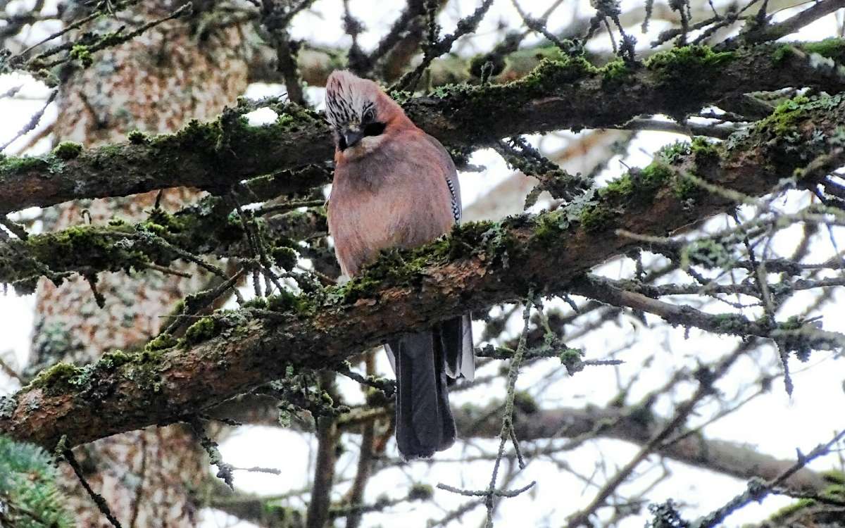 ���������� ����� ����� �������� �������� �� PhotoGeek.ru #����� #�������� ���