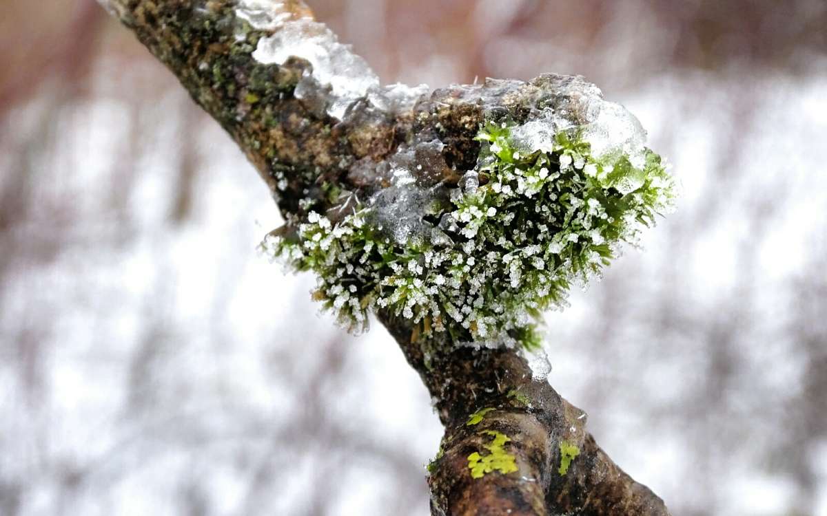 �������� ����. ����� �������� �������� �� PhotoGeek.ru #�����