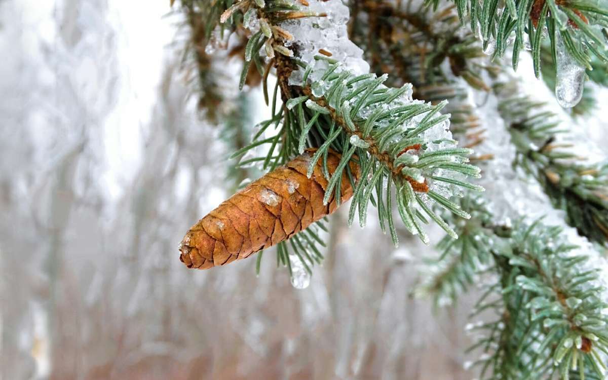 ������� ��� � ������. ����� �������� �������� �� PhotoGeek.ru #����� #�����