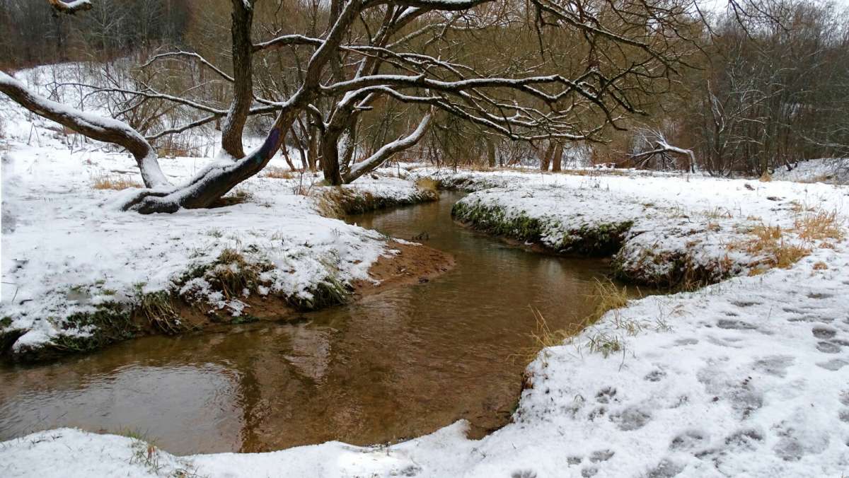 ������ ������. ����� �������� �������� �� PhotoGeek.ru #����� #������ ��� �������