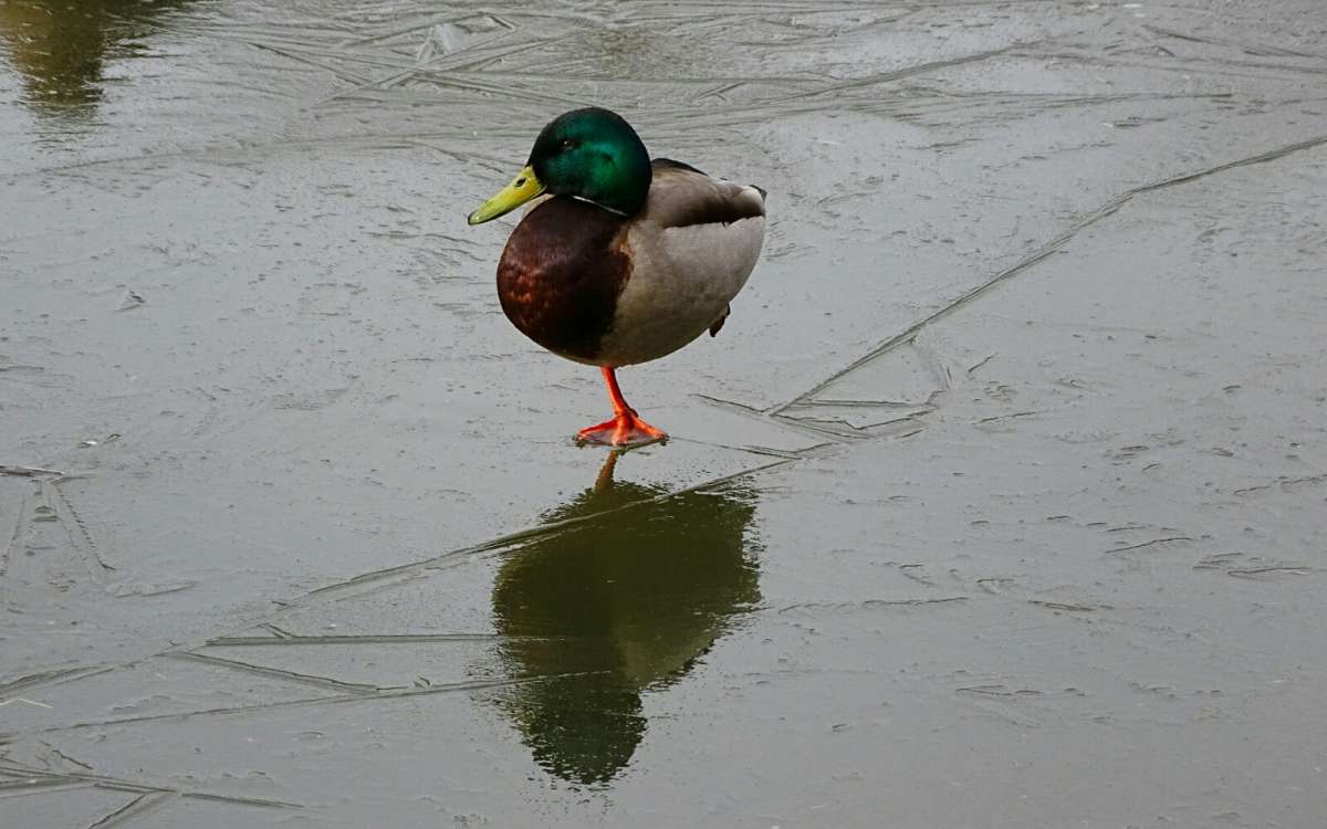 ���� ������. ����� �������� �������� �� PhotoGeek.ru #����� #�������� ���