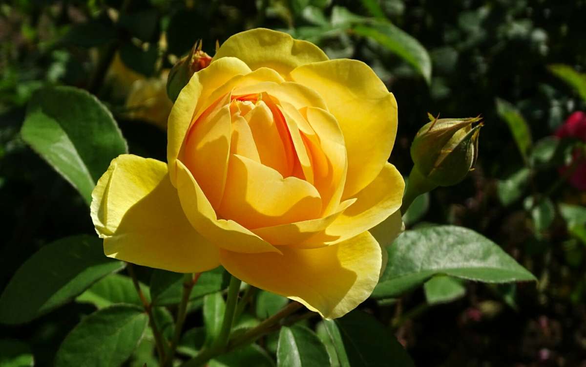 ����� � ������ ����� �������� �������� �� PhotoGeek.ru #����� #�����