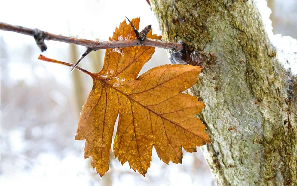 ���� ��� �����. ����� �������� �������� �� PhotoGeek.ru #����� #�����