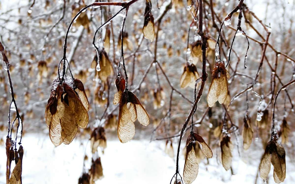 �������� ����������  ����� ��������  �����. ����� �������� �������� �� PhotoGeek.ru #����� #�����