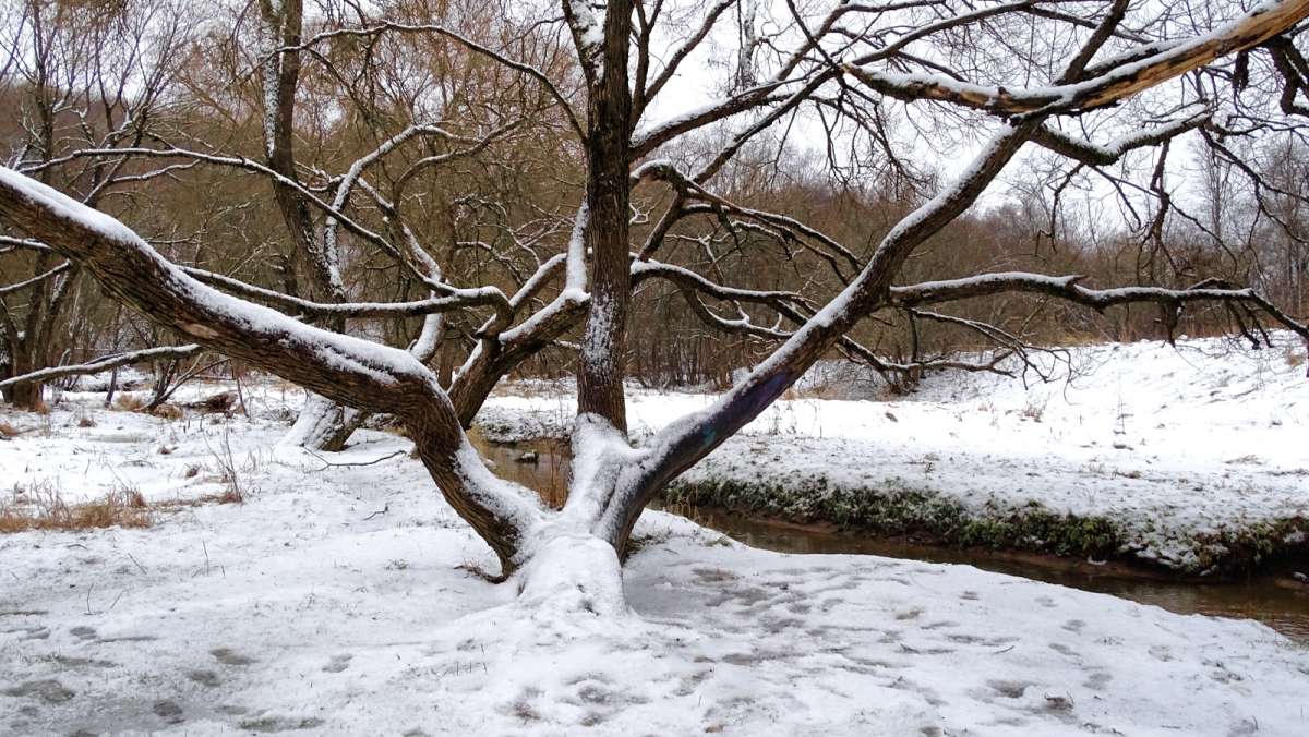 ���� � ��������� �����. ����� �������� �������� �� PhotoGeek.ru #������ ��� �������