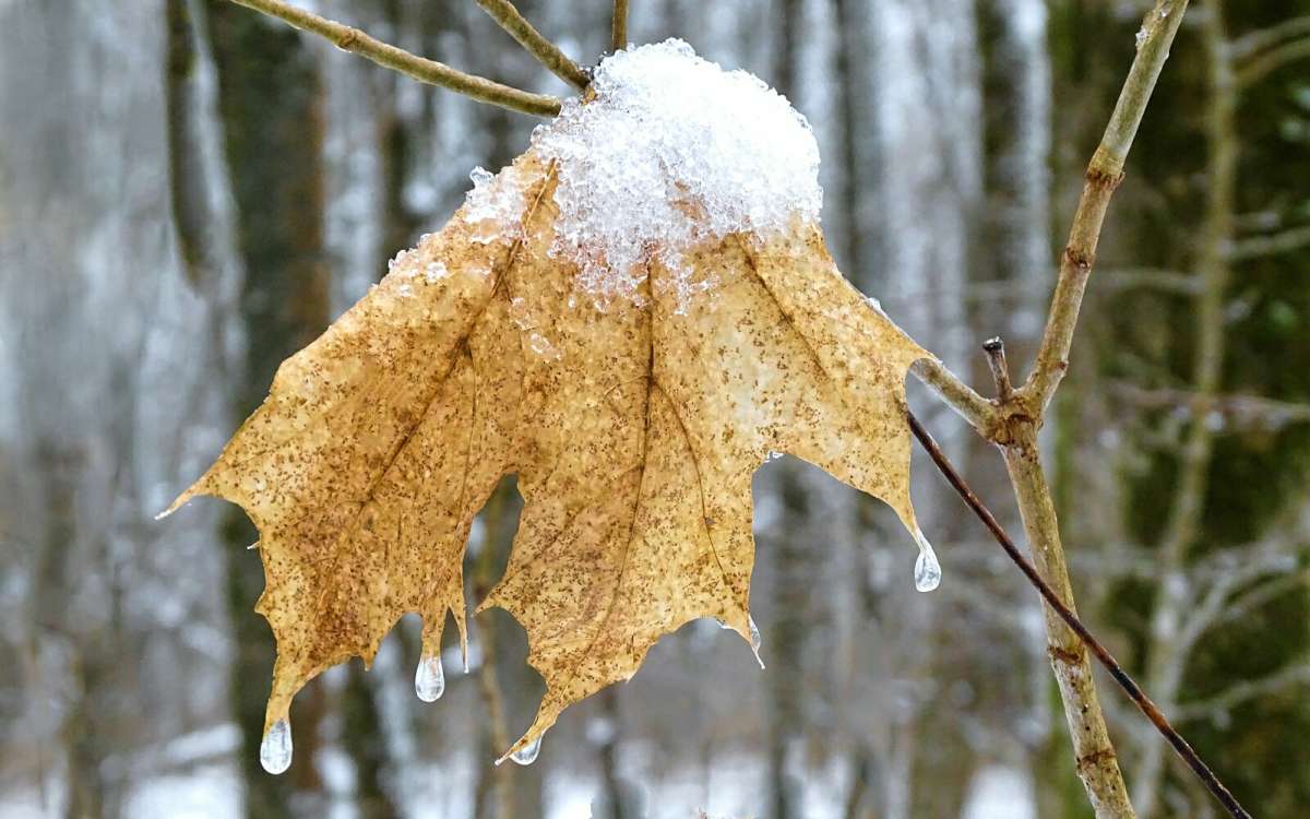 ������������ ���� ����� �������� �������� �� PhotoGeek.ru #����� #�����