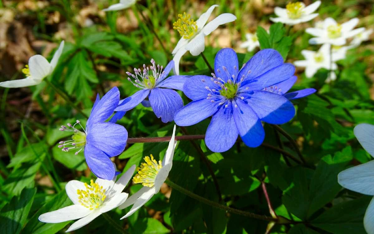 ����� � ������ ����� �������� �������� �� PhotoGeek.ru #����� #������ ��� �������