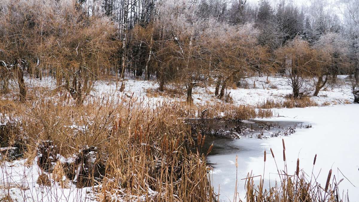 ���� ���������, � ����� ����� ���. ����� �������� �������� �� PhotoGeek.ru #������ ��� �������