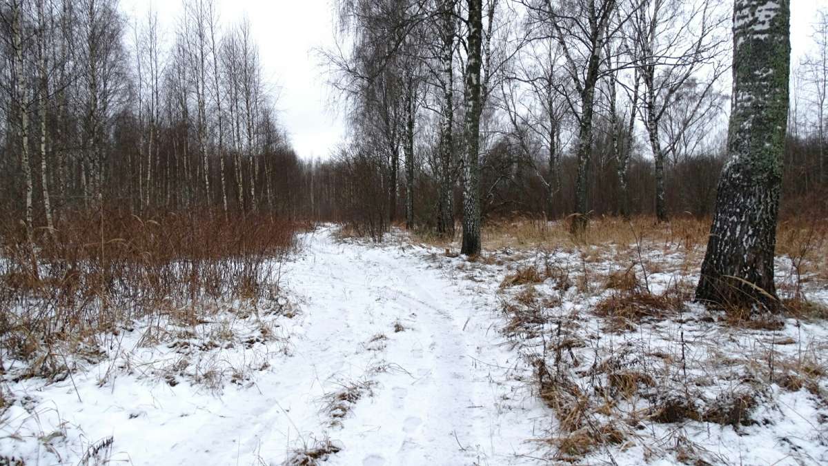 ���� ����� � ������ ����. ����� �������� �������� �� PhotoGeek.ru #������ ��� �������