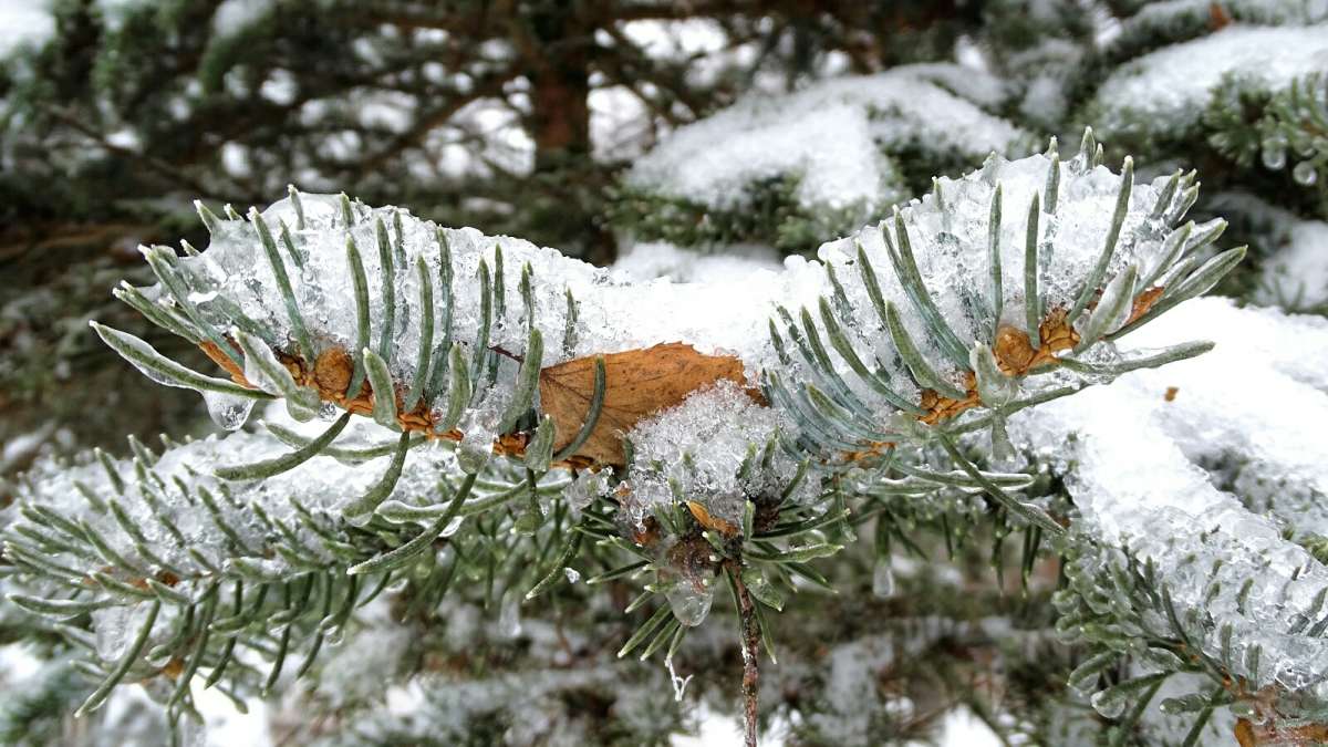 �������� ������� ����� �������� �������� �� PhotoGeek.ru #����� #������ ��� �������