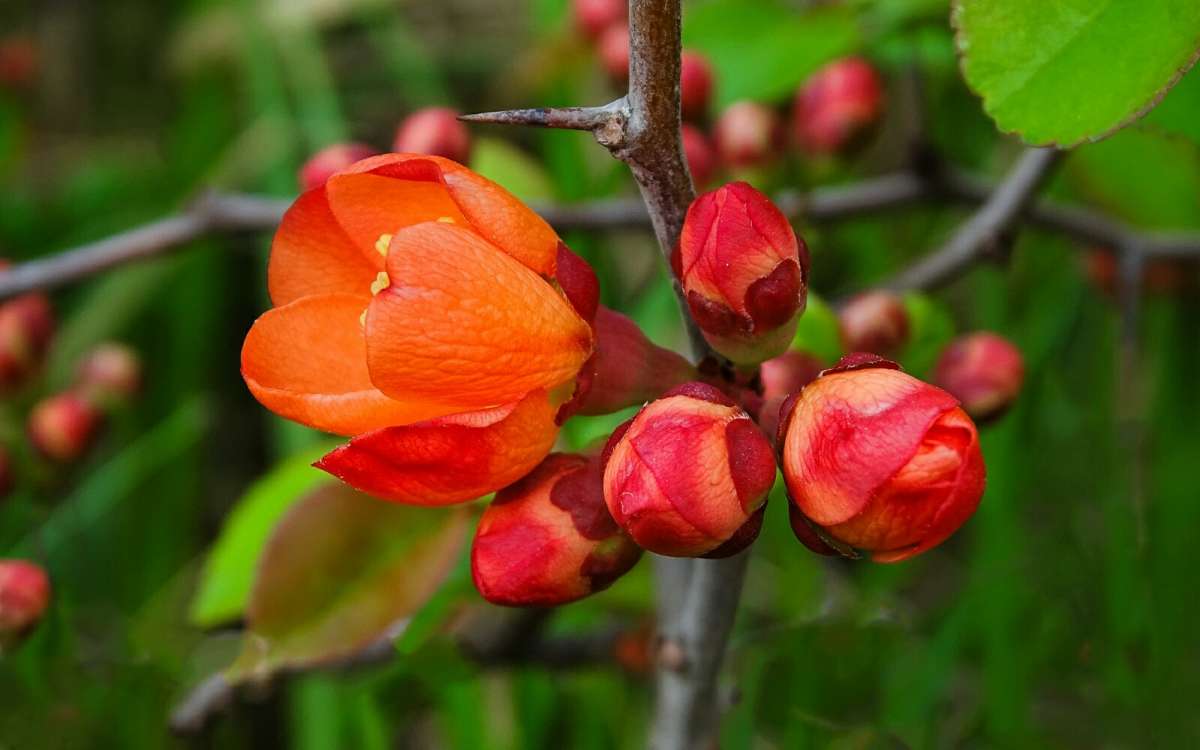 ����� � ������. ����� �������� �������� �� PhotoGeek.ru #����� #�����