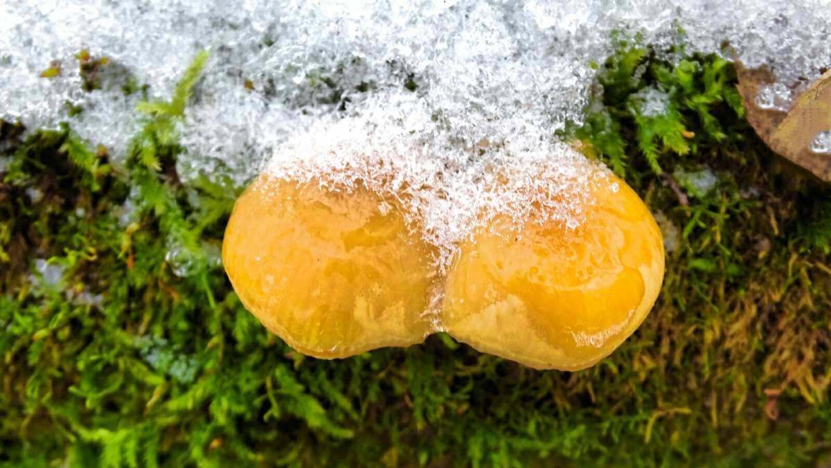 ����� � �������. ����� �������� �������� �� PhotoGeek.ru #�����