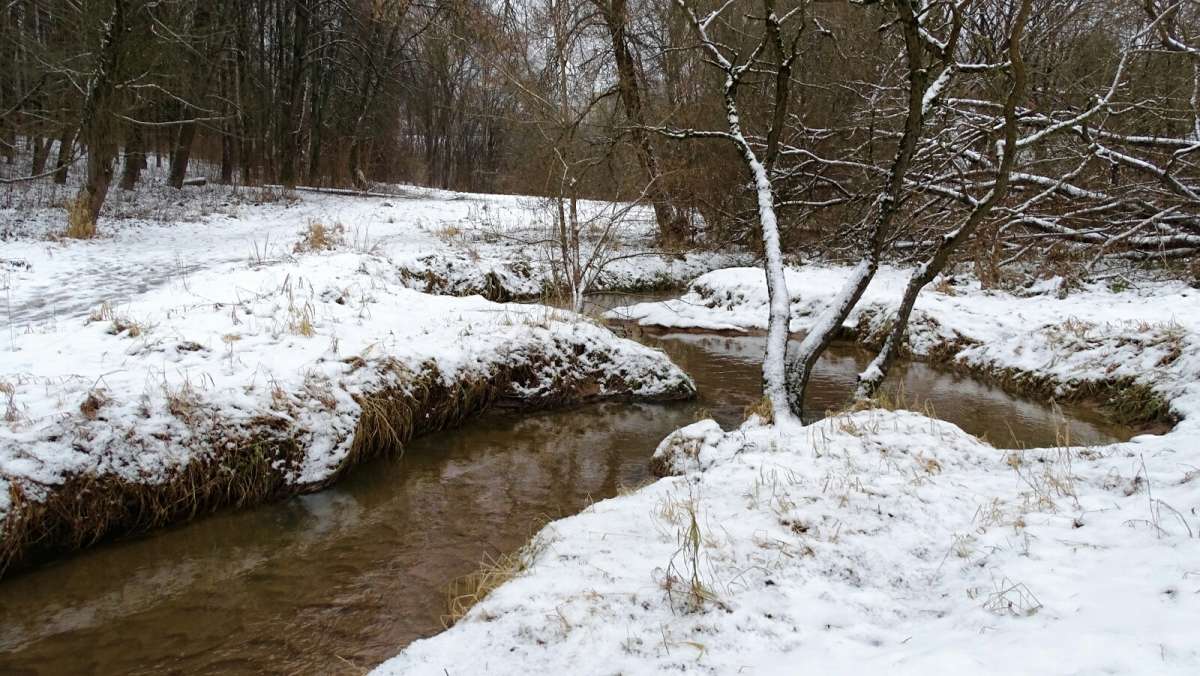 ����� � ��������� �����. ����� �������� �������� �� PhotoGeek.ru #����� #������ ��� �������