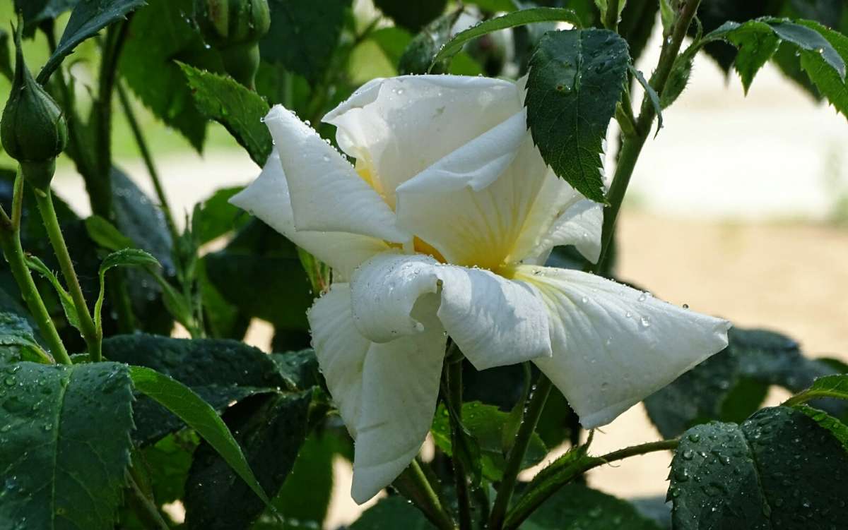 ����� � ������ ����� �������� �������� �� PhotoGeek.ru #����� #�����