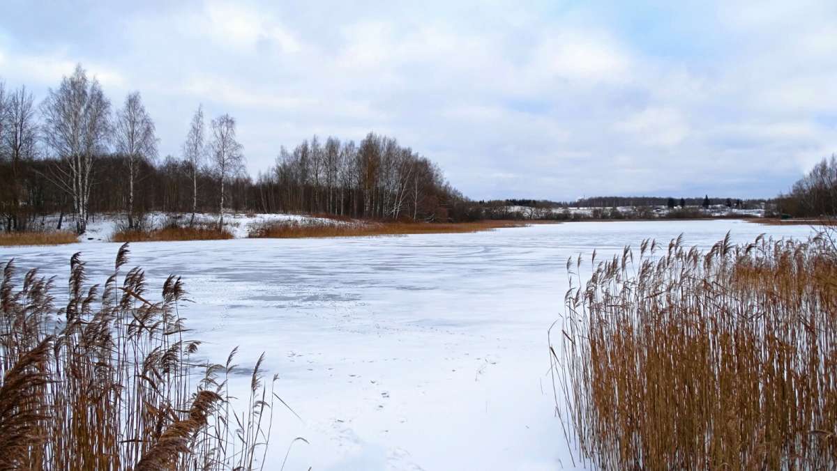 ��� ���� ����� �������� �������� �� PhotoGeek.ru #������ ��� �������