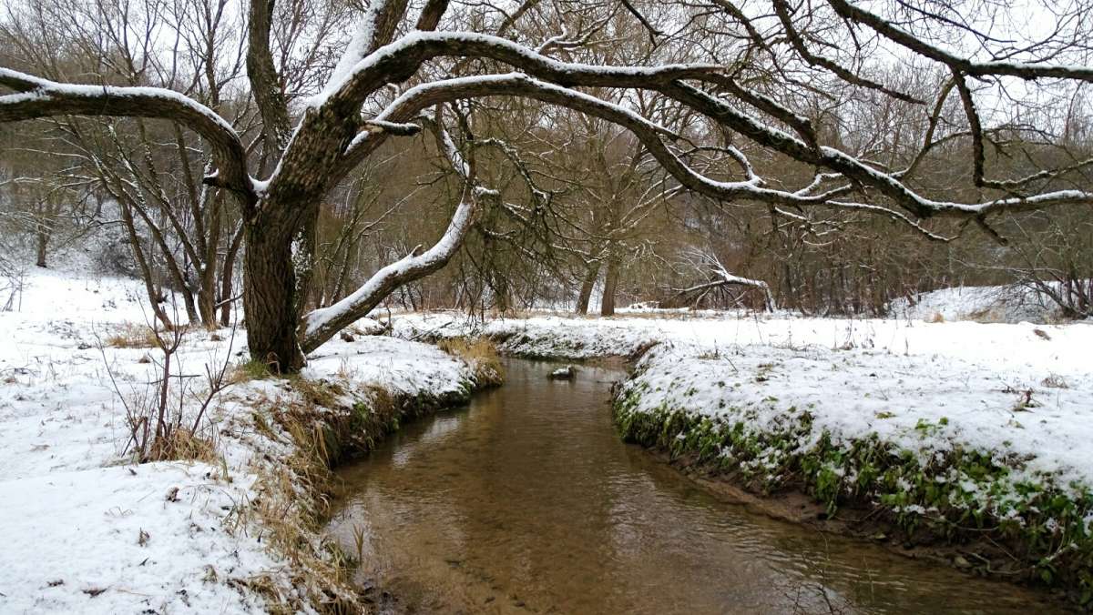 ���� � ��������� �����. ����� �������� �������� �� PhotoGeek.ru #����� #������ ��� �������