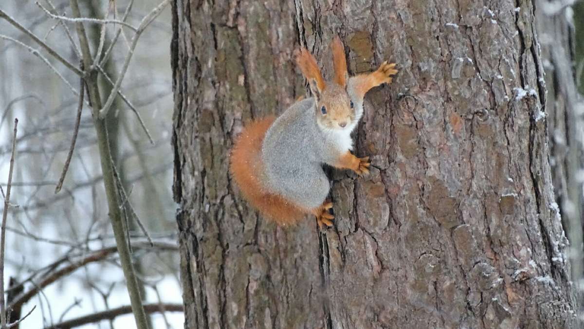 ���������� ����� ����� �������� �������� �� PhotoGeek.ru #����� #�������� ���