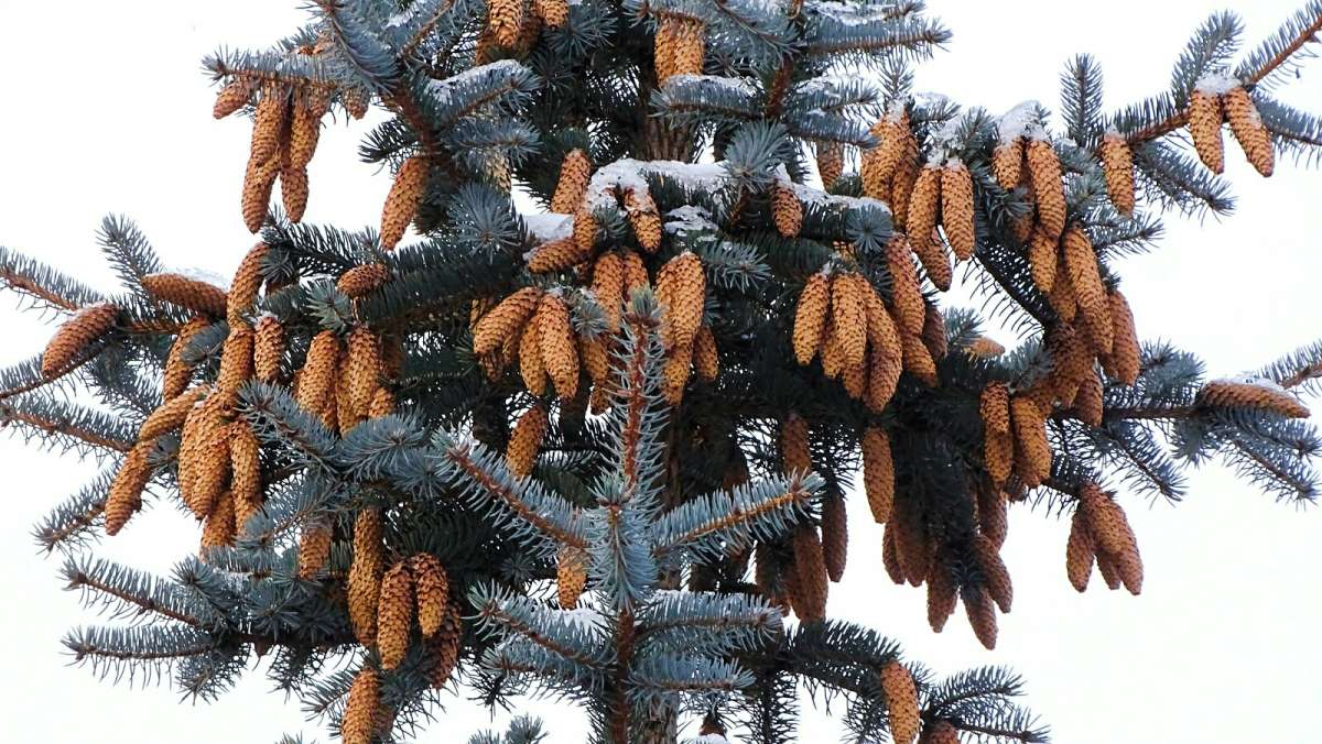 ����� ������� ��� ����� �������� �������� �� PhotoGeek.ru #����� #�����