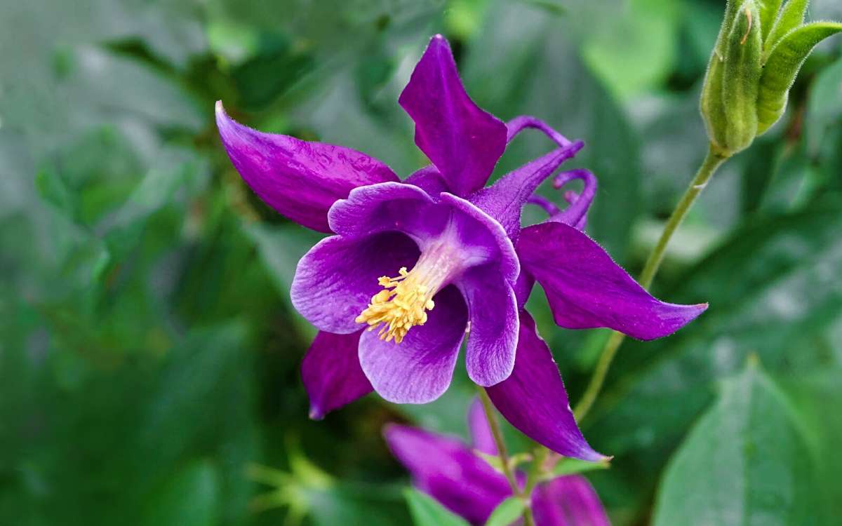 ����� � ������ (���������) ����� �������� �������� �� PhotoGeek.ru #����� #�����